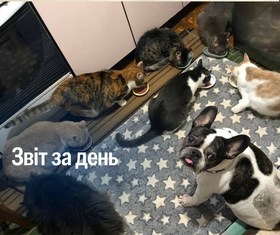 📌 1062  день повномасштабної війни