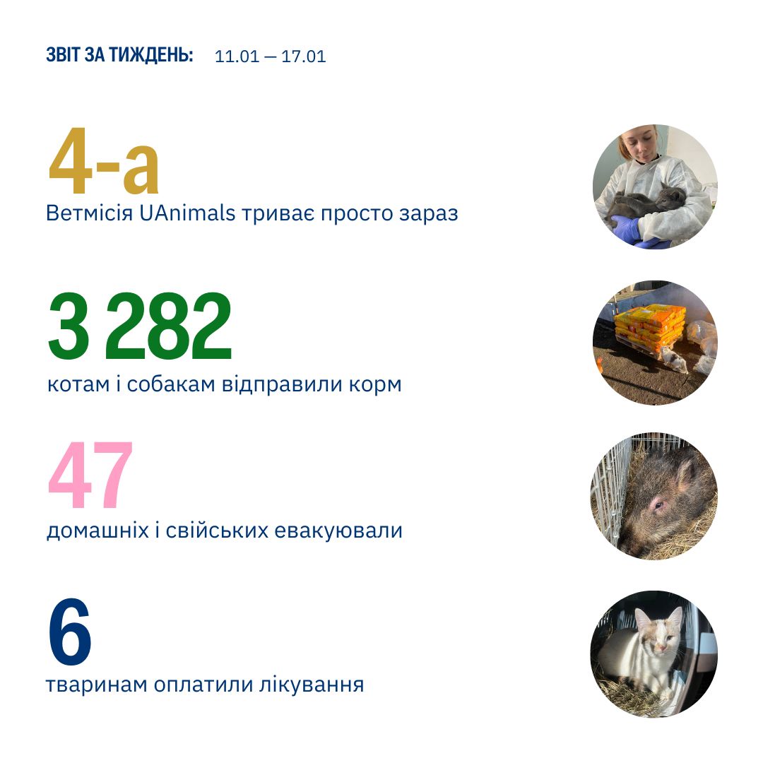 Наша спільна суперсила — не припиняти турбуватися про слабших🐾
