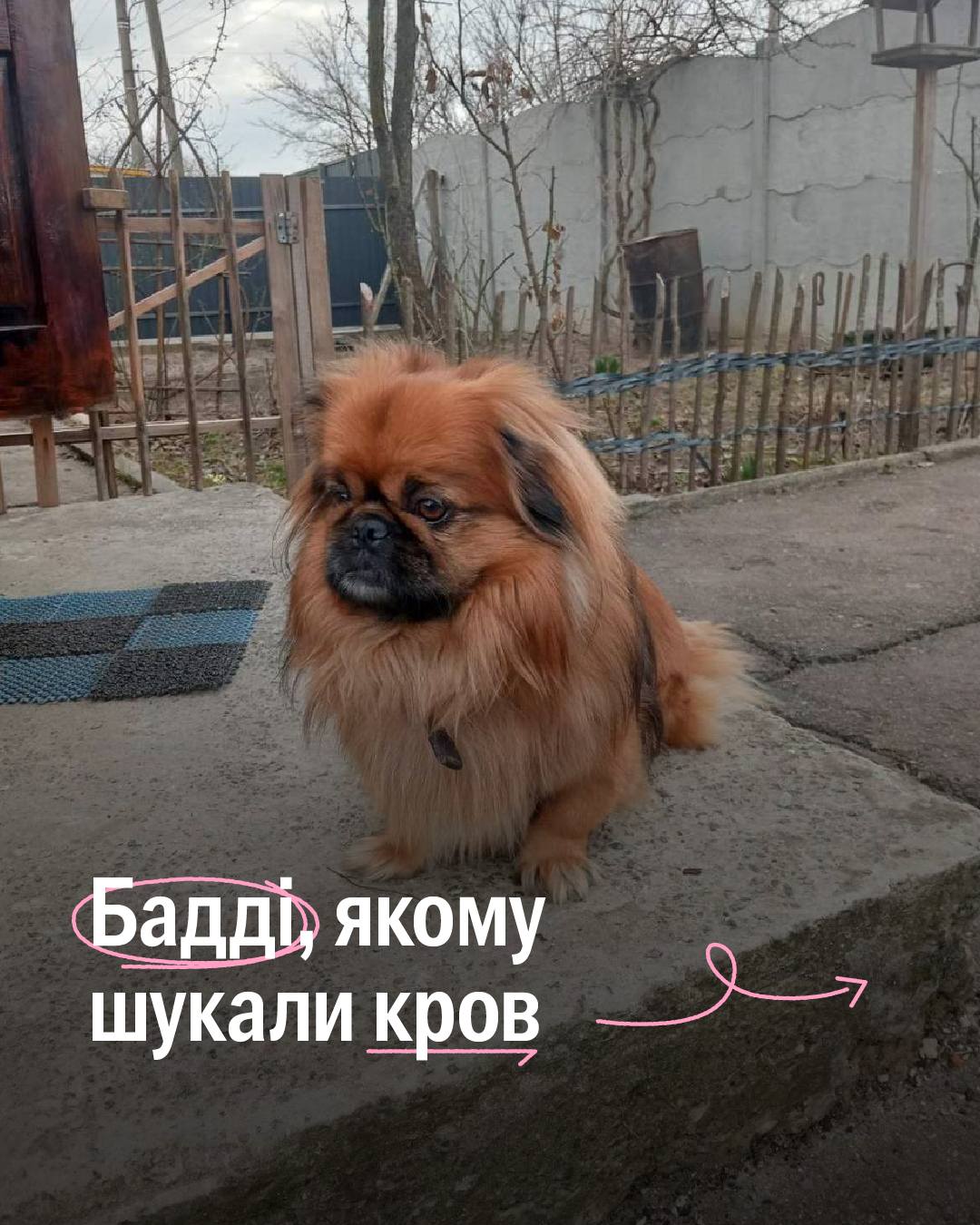 Чого стає більше, якщо поділитися?