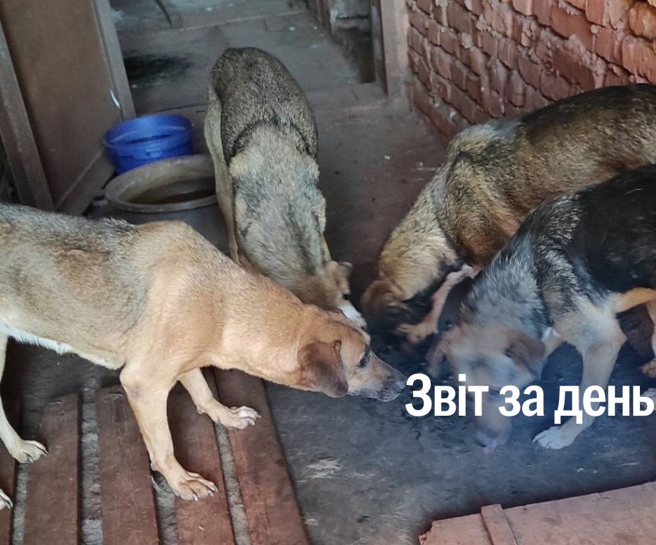 📌 1 063 день повномасштабної війни