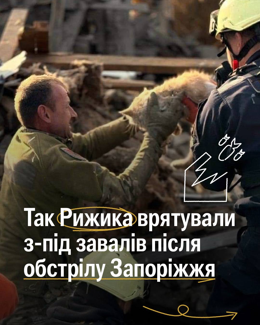 Цього кота вбила росія 💔