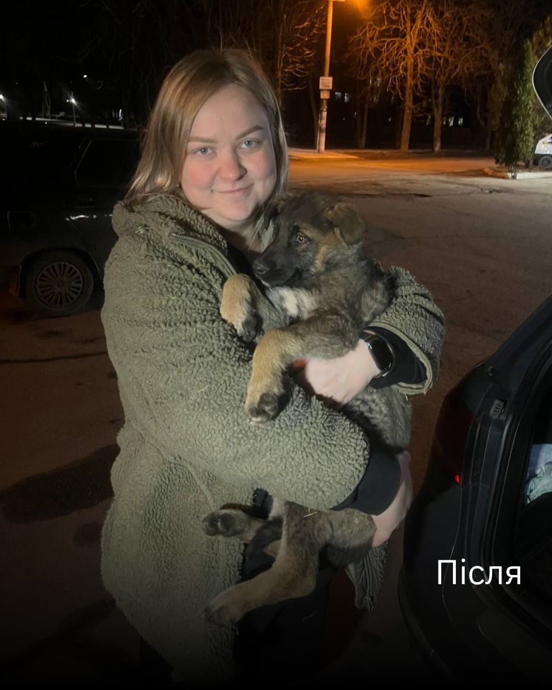 “Зараз малий вже в родині”, — найулюбленіші повідомлення редакції UAnimals 🐶