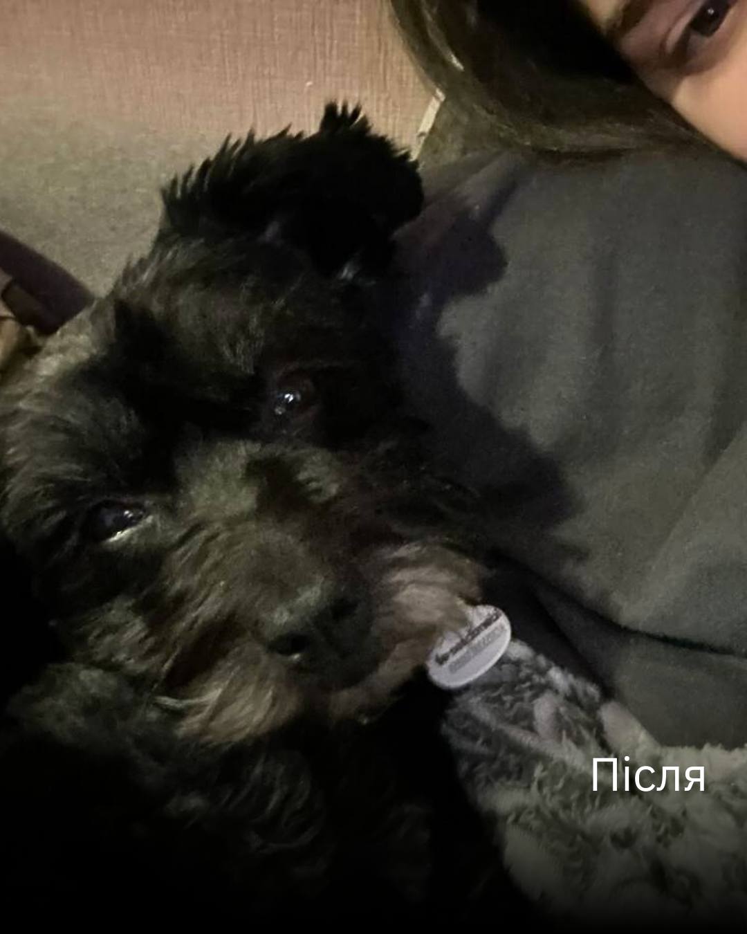 Евакуювали крихітку з Харківського напряму від військових 🐶💔