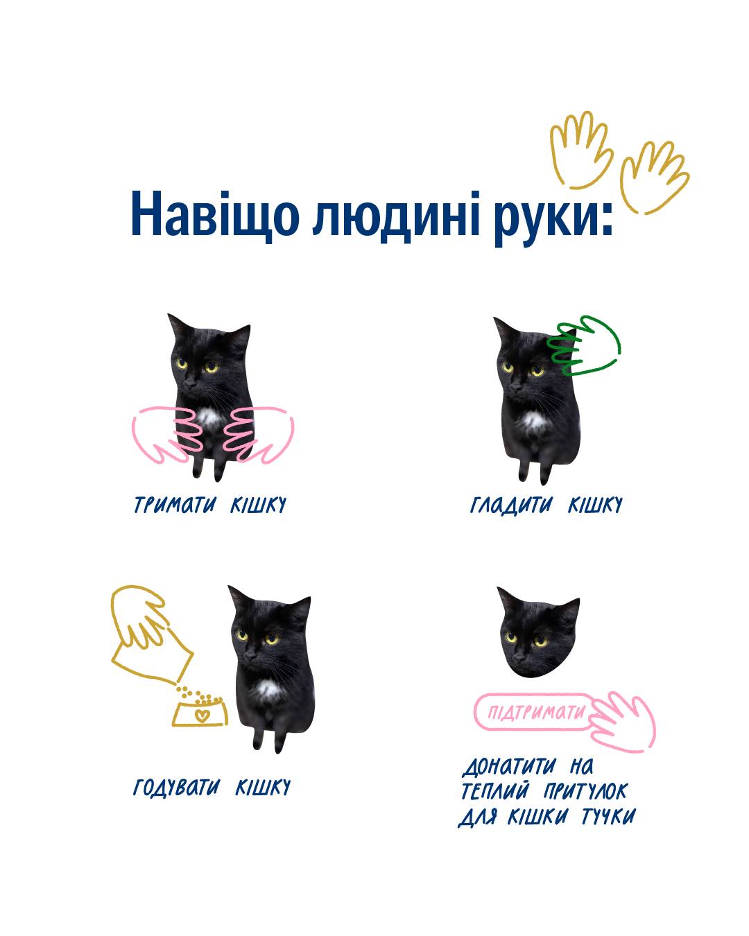 До утеплення притулку кішки Тучки лишилося … 60 тисяч гривень 🐾