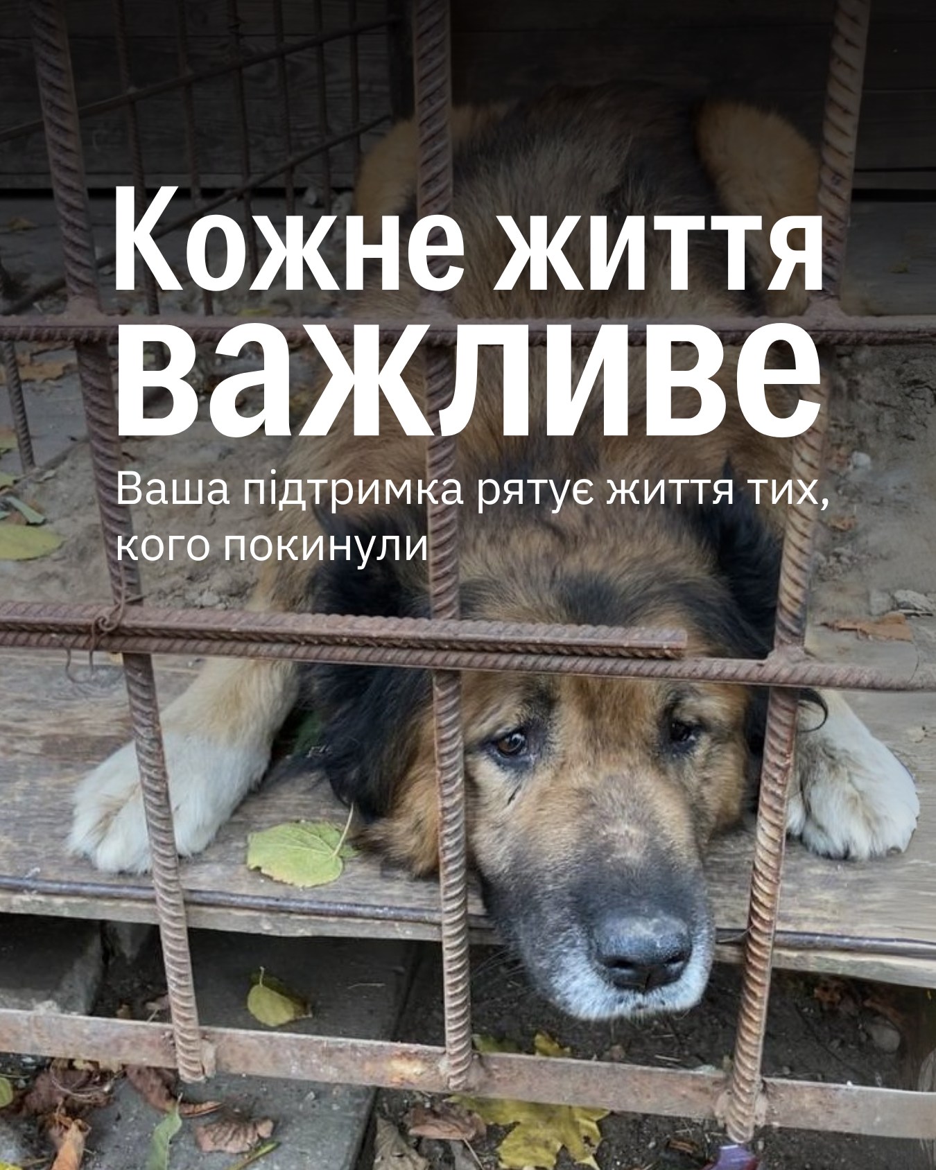 Поділимося з вами нашим болем