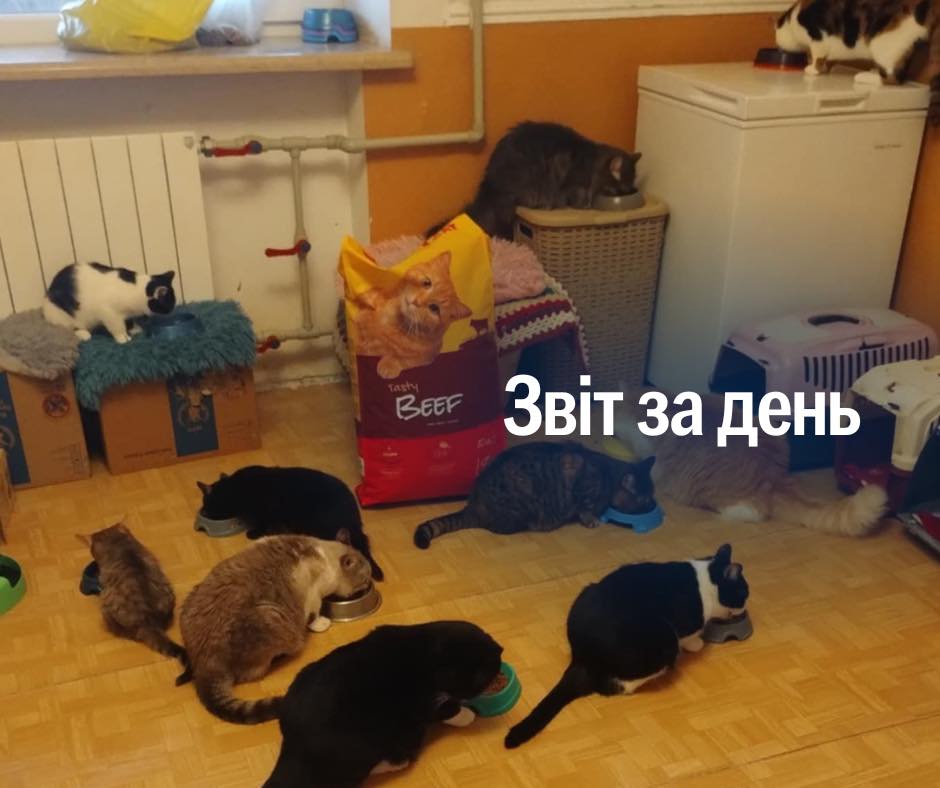 1 067 день повномасштабного вторгнення