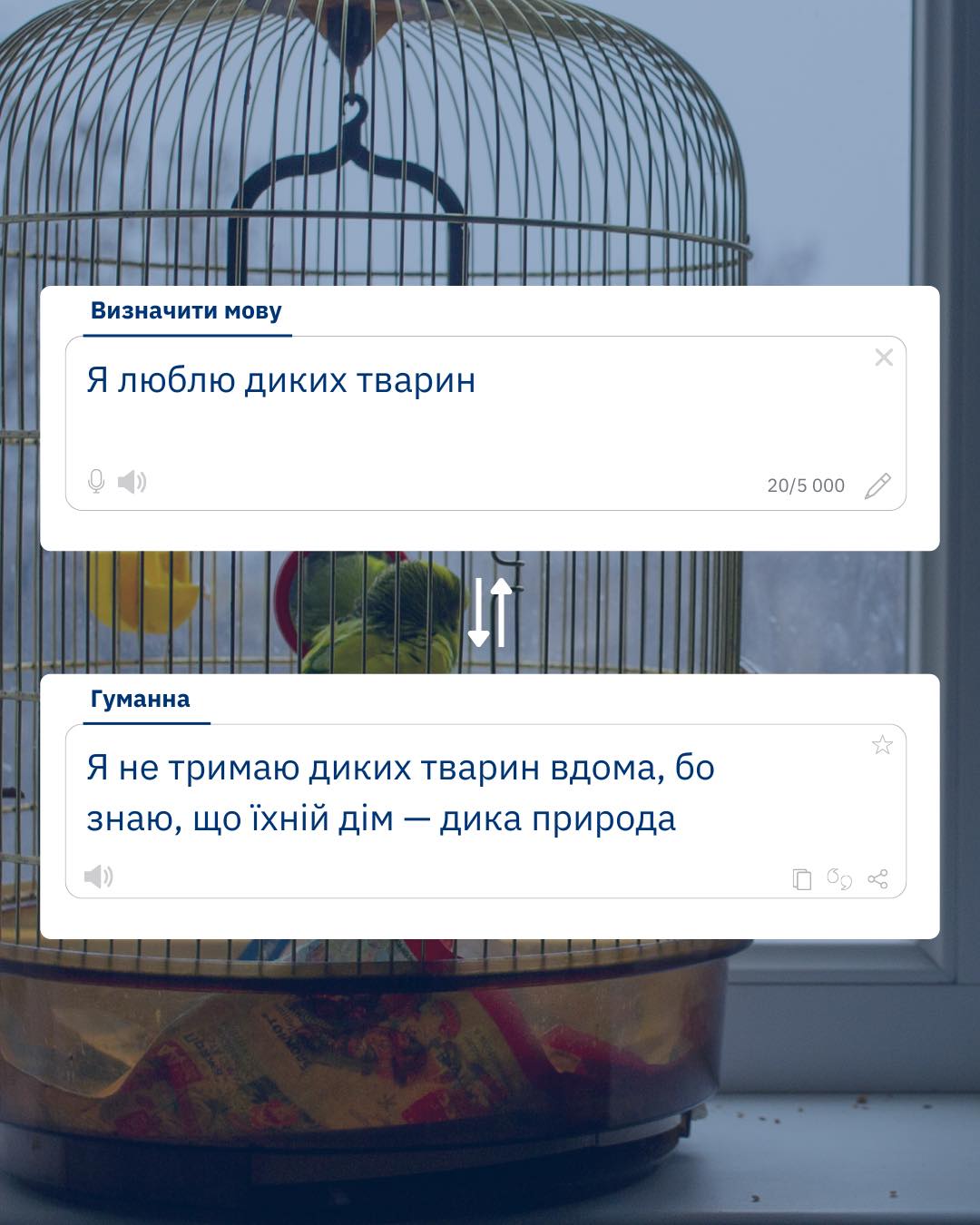 Дикі — не домашні!