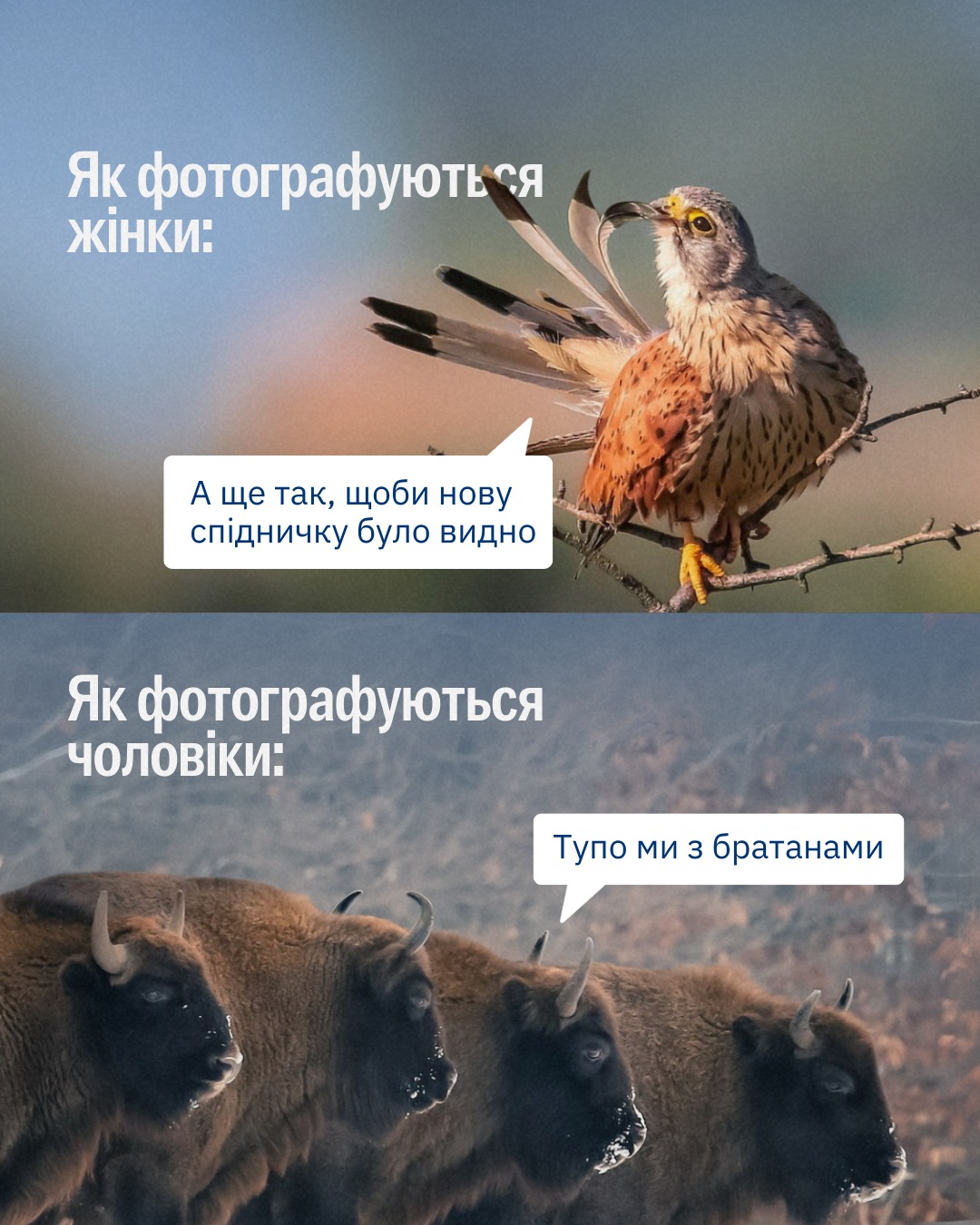 Настрій: любити свою роботу так, щоб перетворювати її на меми ✨