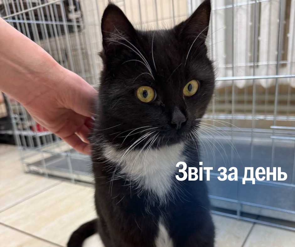 📌 1 072 день повномасштабного вторгнення