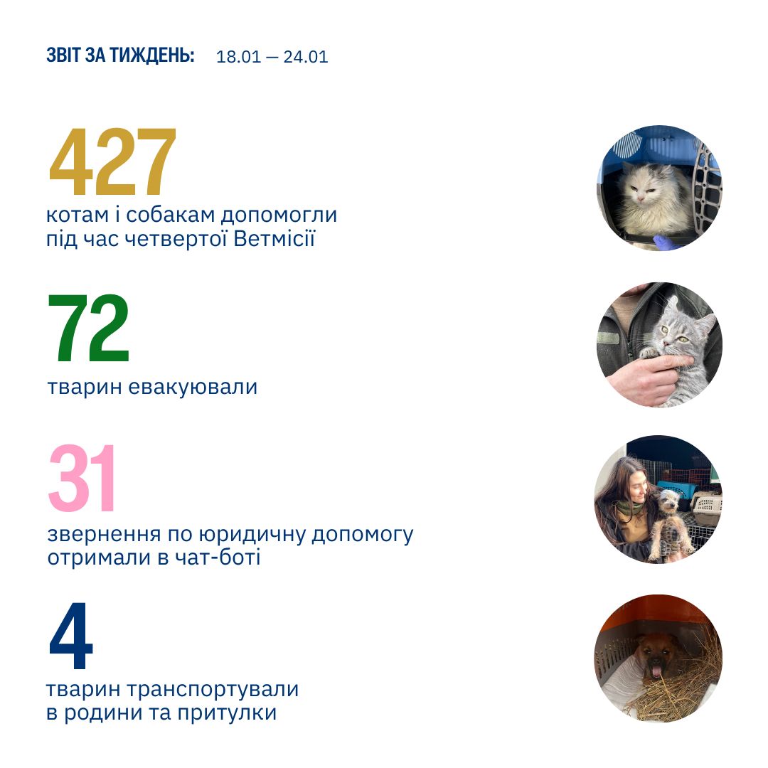 Чи чули ви про силу маленьких кроків? 🐾