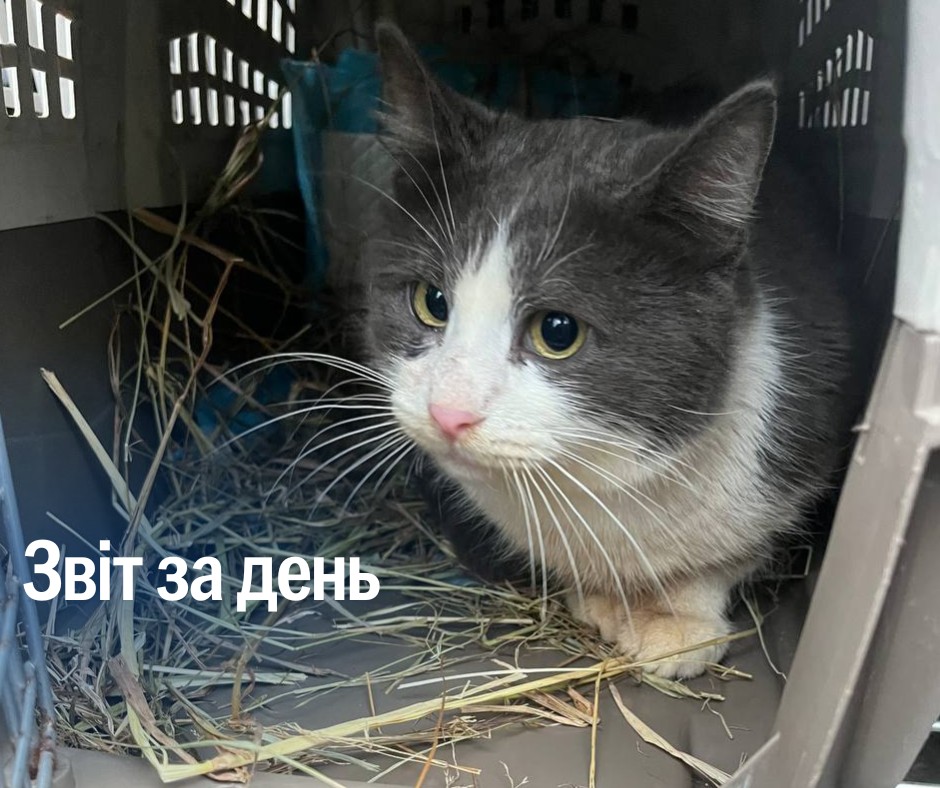 📌 1 070 день повномасштабного вторгнення