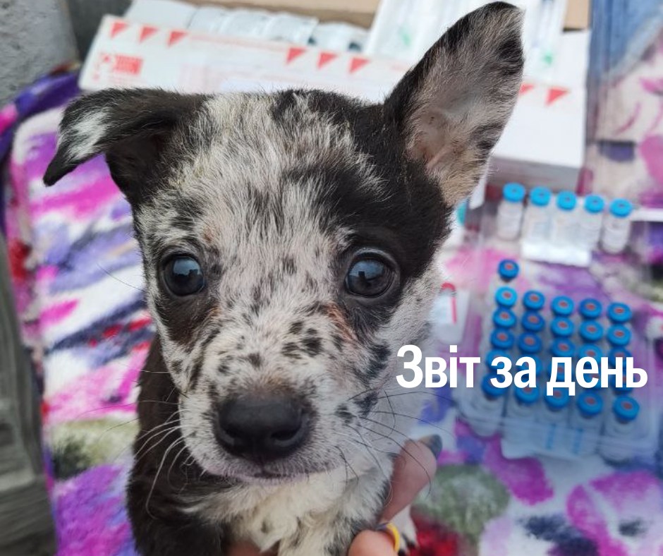 📌 1 071 день повномасштабного вторгнення