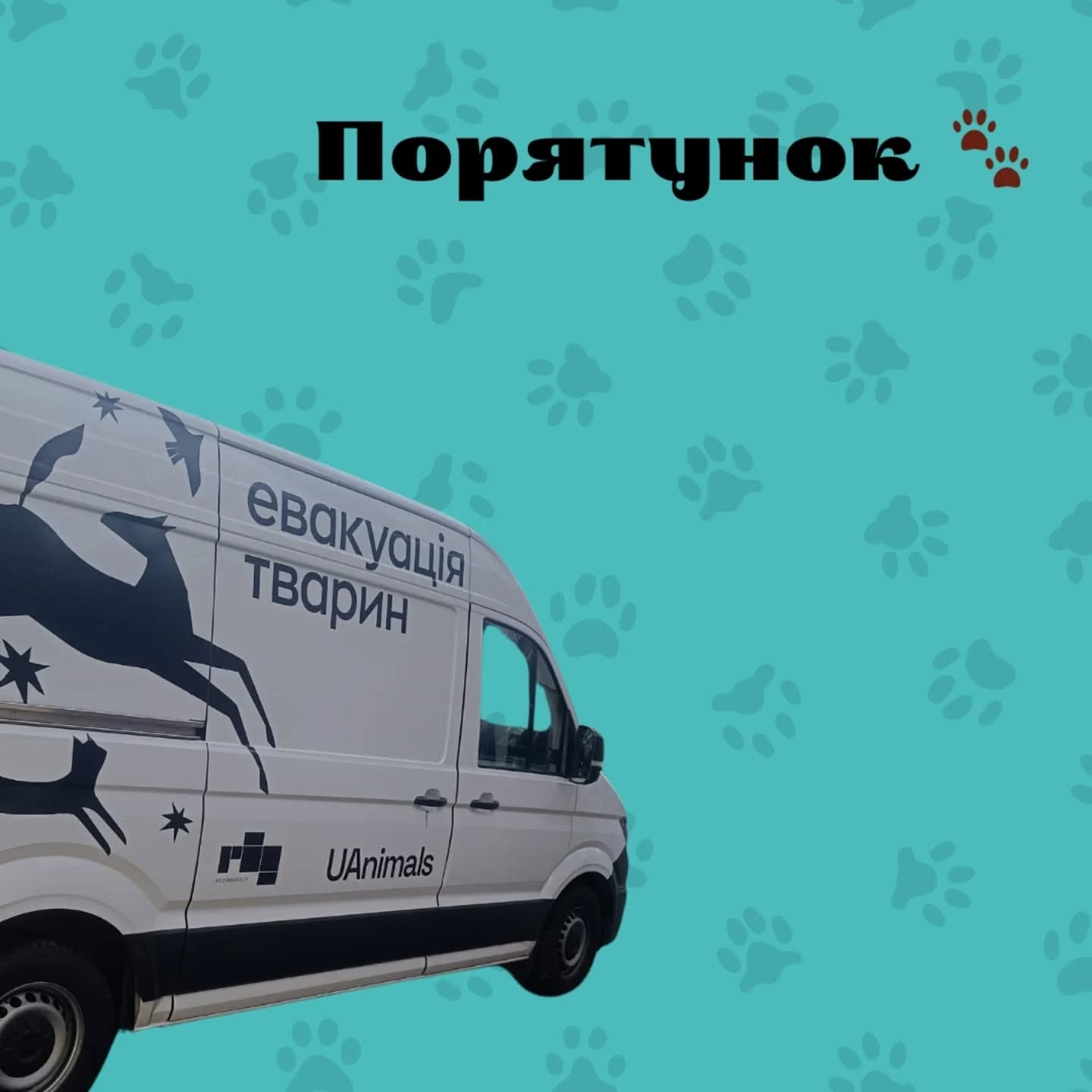 Жодна тварина не заслуговує загинути від війни! 💔