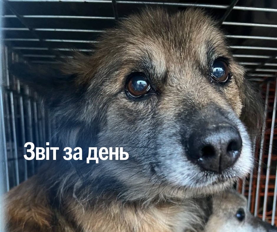 📌 1 091 день повномасштабного вторгнення