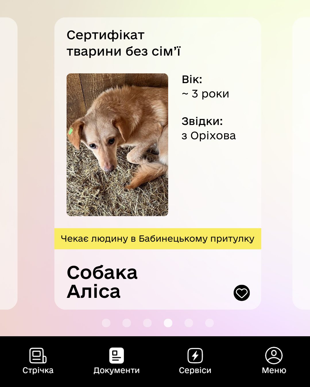 Пропонуємо Дія запустити сертифікат “Тварини без сімʼї”