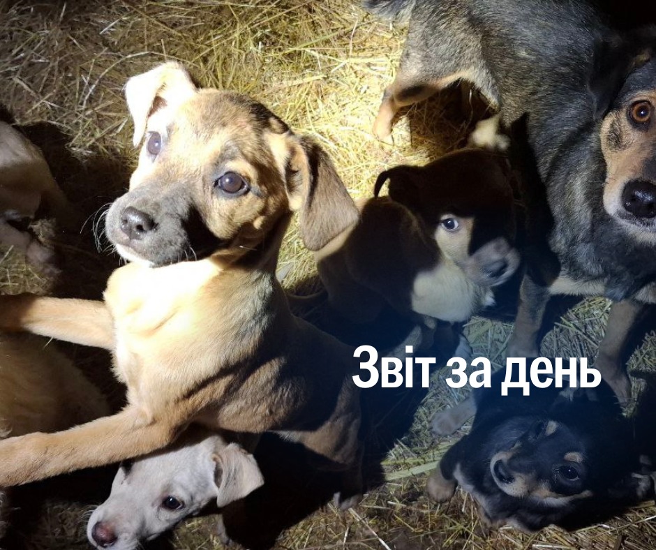 📌 1 090 день повномасштабного вторгнення