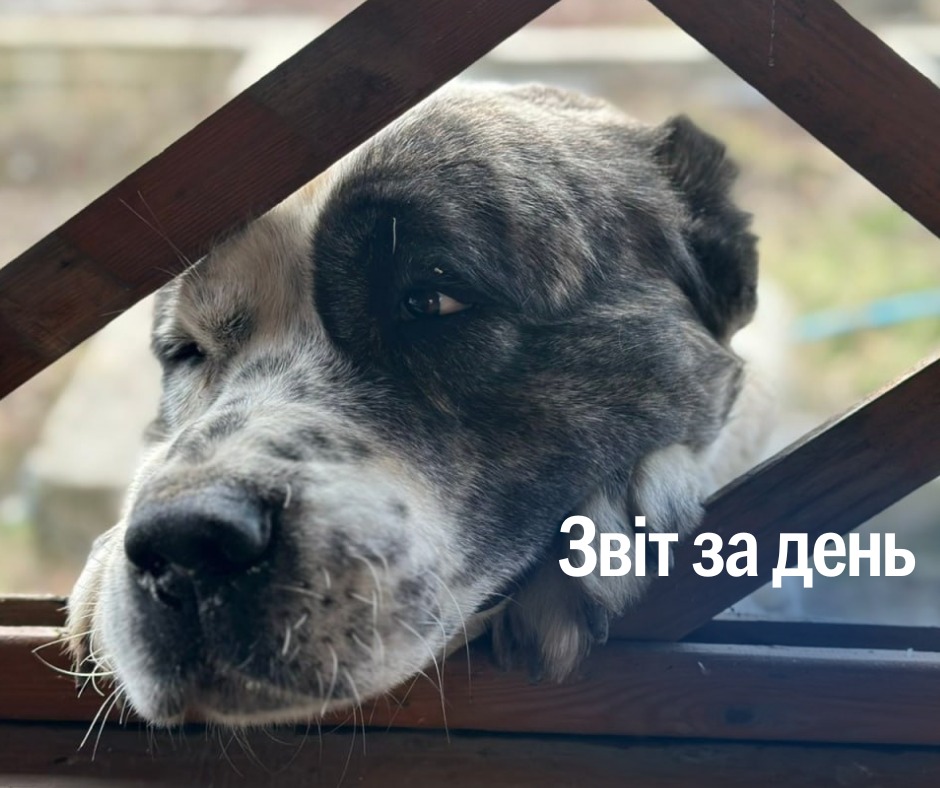 📌 1 073 день повномасштабного вторгнення