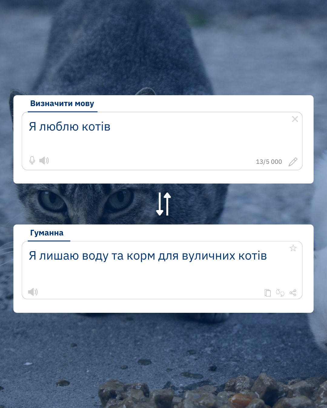 Допоможіть безхатнім тваринам вижити взимку 🙏❄️