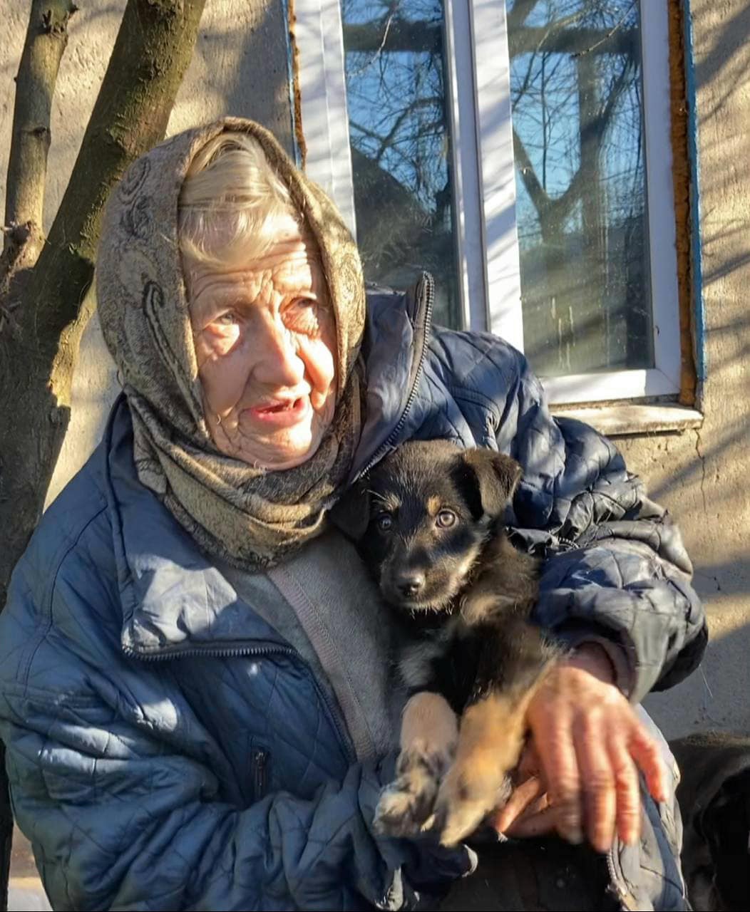 У цієї жінки понад 50 тварин у Покровську 💔🐕