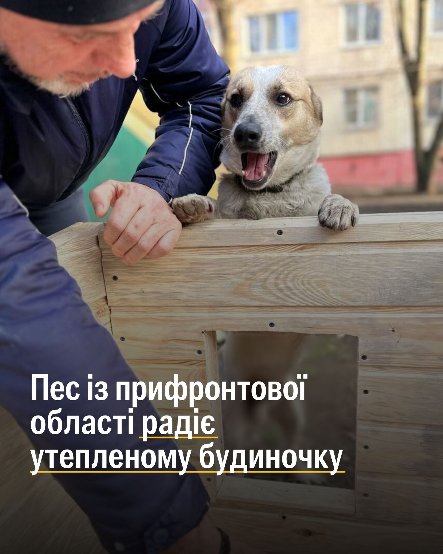 Ділимося потужними світлинами допомоги тваринам у січні 🙌