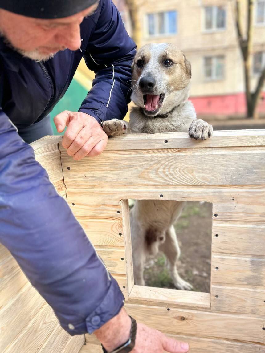 Подивіться лиш на ці щасливі морди ☺️