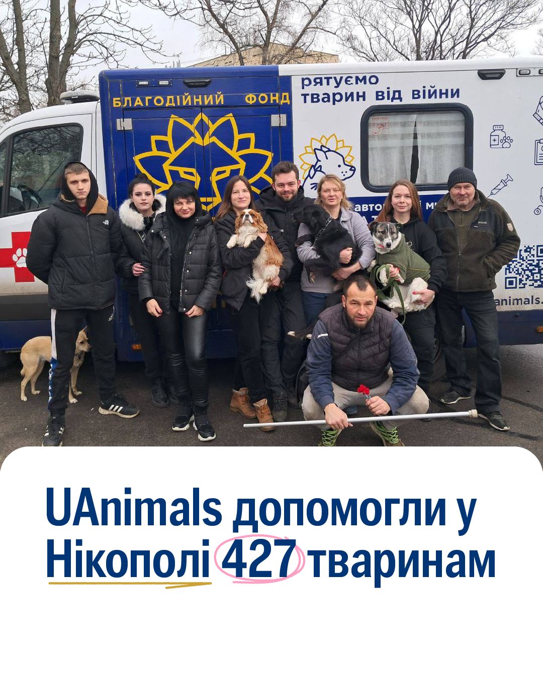 UAnimals повернулись з ветеринарної місії у Нікополі