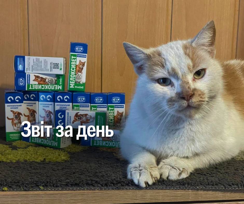 📌1080 день повномасштабного вторгнення