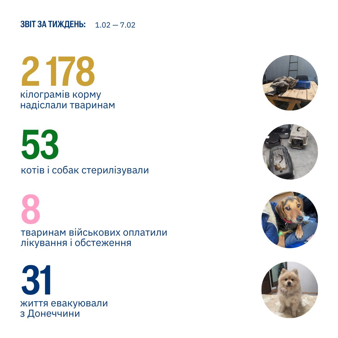 Рятувати життя тварин непросто, але кожне врятоване — того варте ❤️