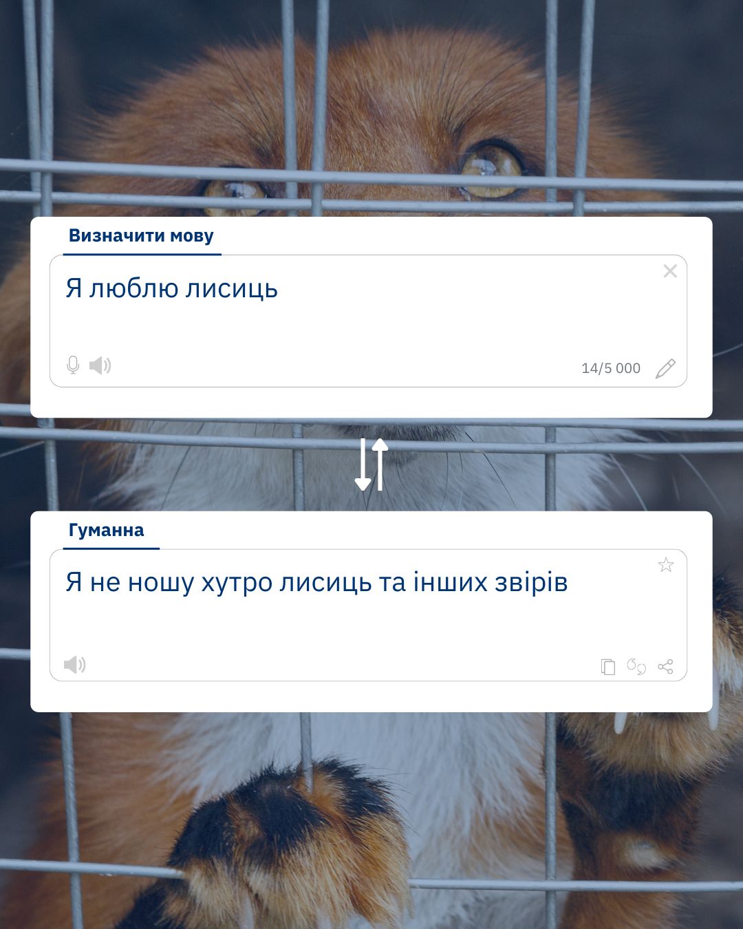Лисяче хутро належить лисицям, а не людям!