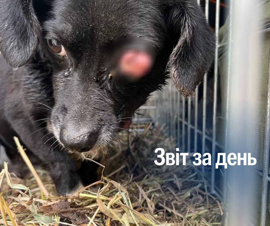 📌1085  день повномасштабного вторгнення