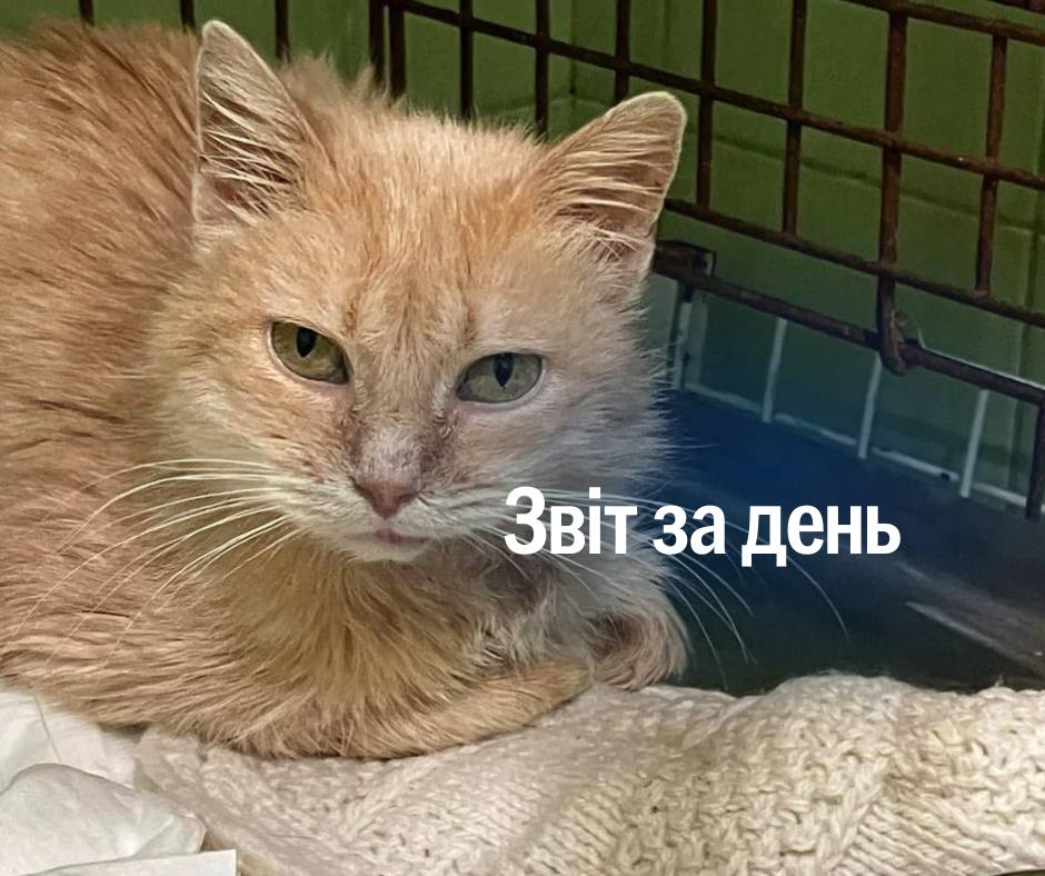 📌 1 079 день повномасштабного вторгнення