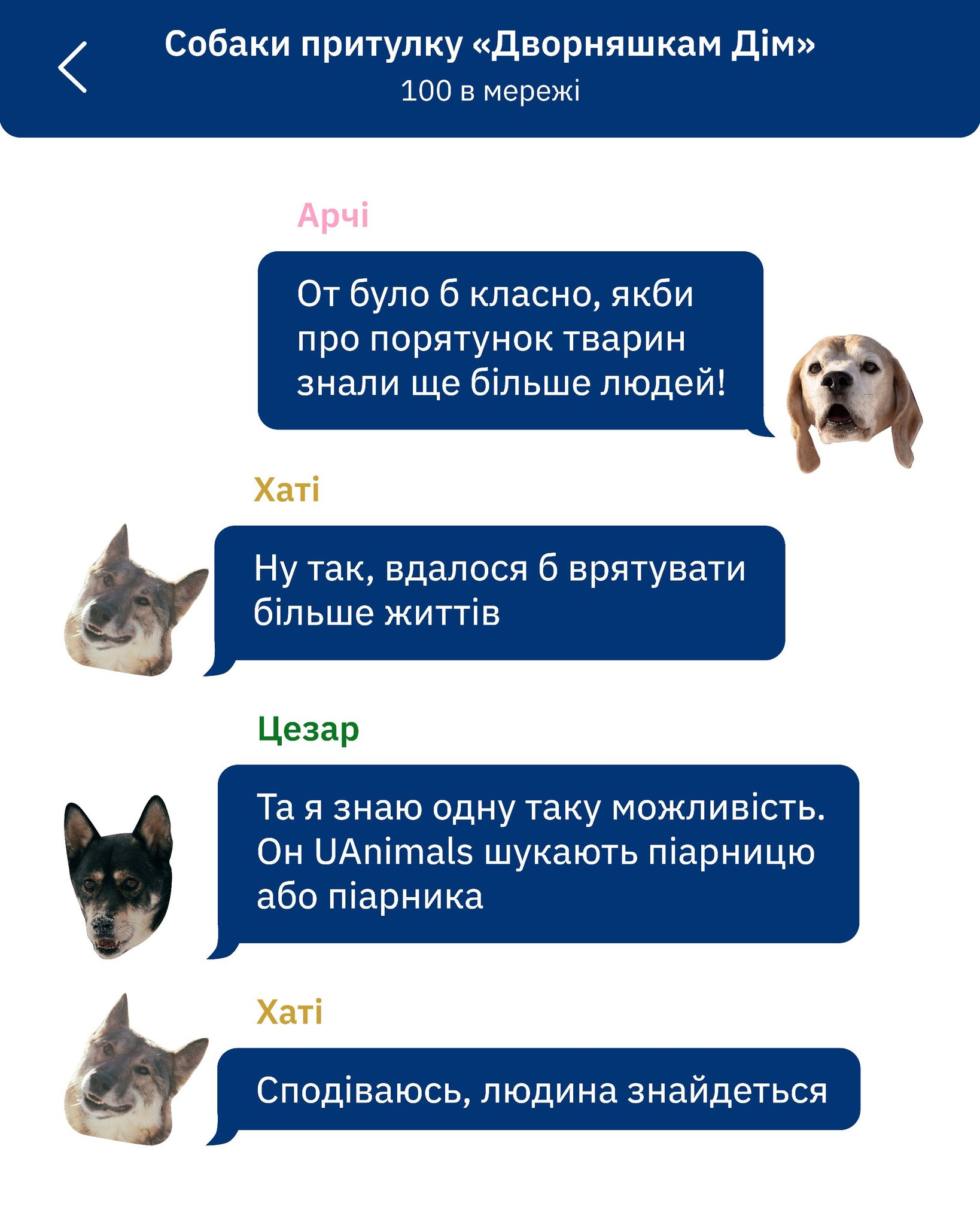 UAnimals шукають PR-менеджерку чи PR-менеджера 🦊
