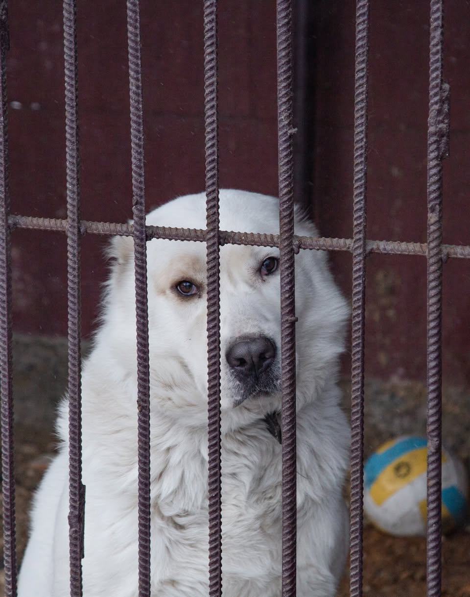 Це історія, де в кінці всі щасливі
