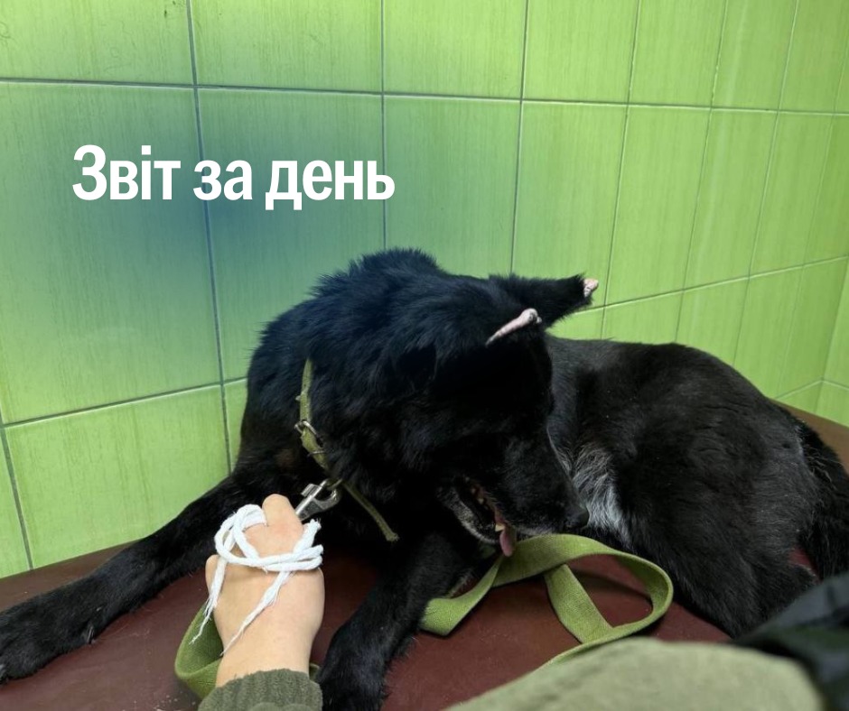 📌 1086 день повномасштабного вторгнення