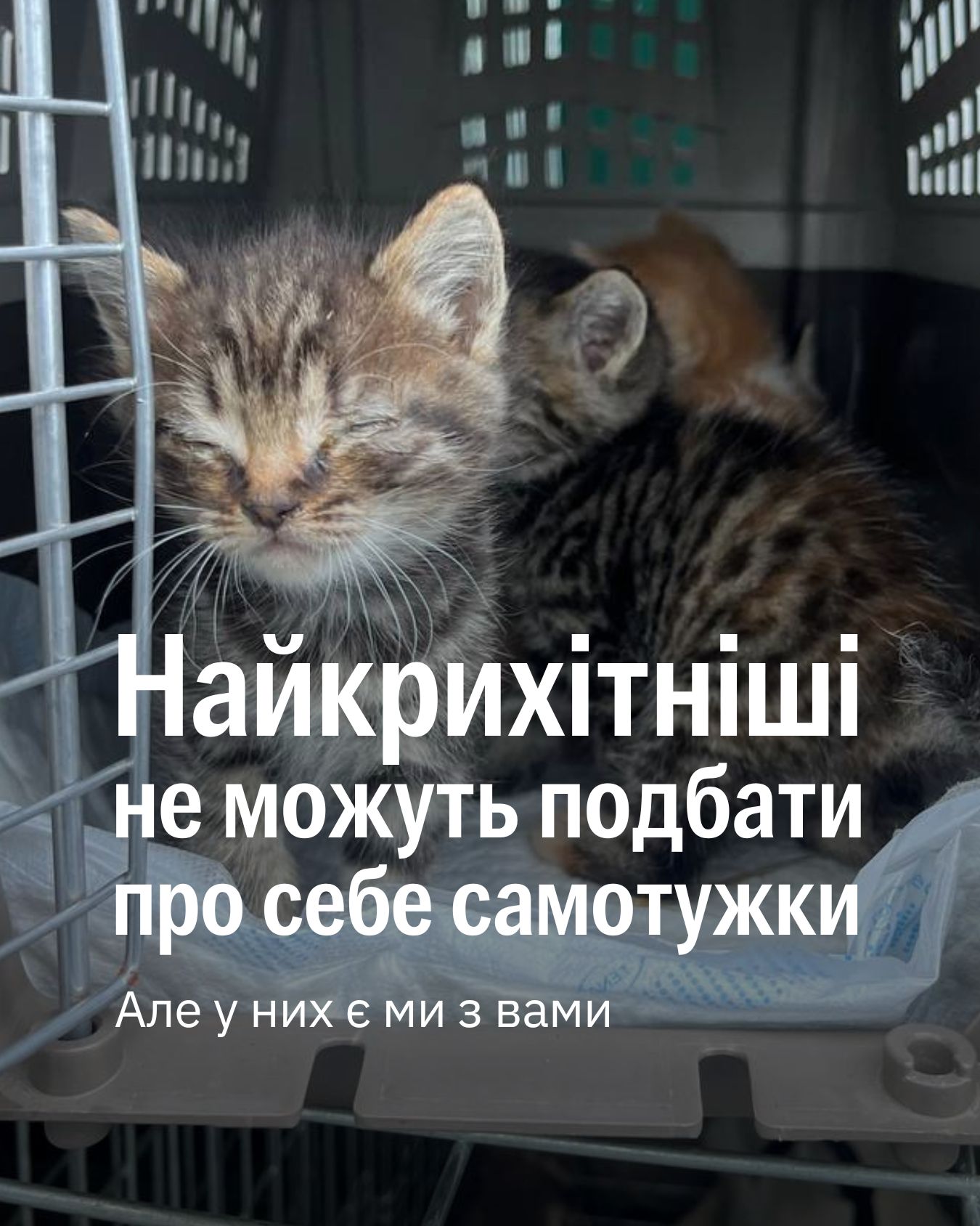 Погоджуєтесь із фразою на картці?