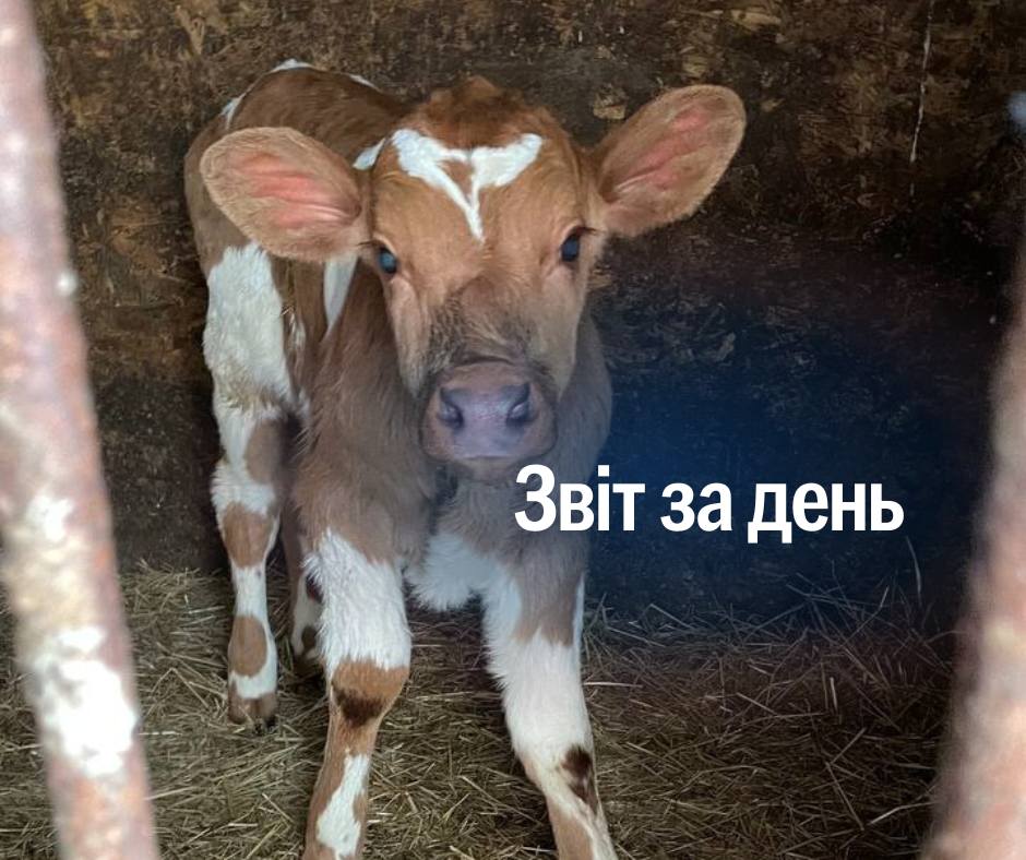 📌1083 день повномасштабного вторгнення
