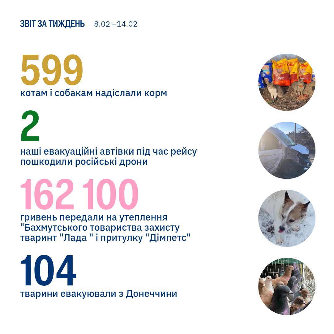 Цього тижня допомагали крилам, копитам і лапам — десь двом тисячам тварин 🦉