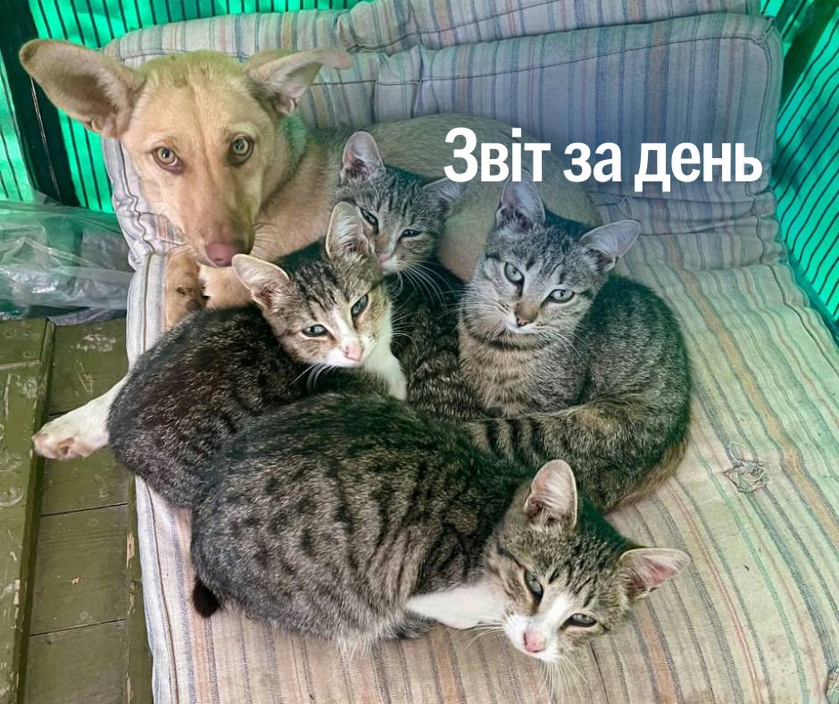 📌 1087 день повномасштабного вторгнення