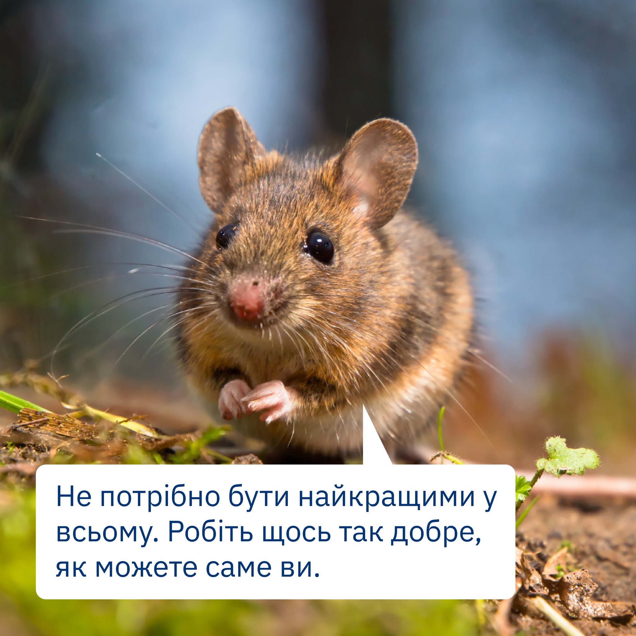 Ось вам вівторкова фраза-підтримка❤️