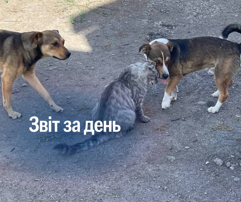 📌 1088 день повномасштабного вторгнення
