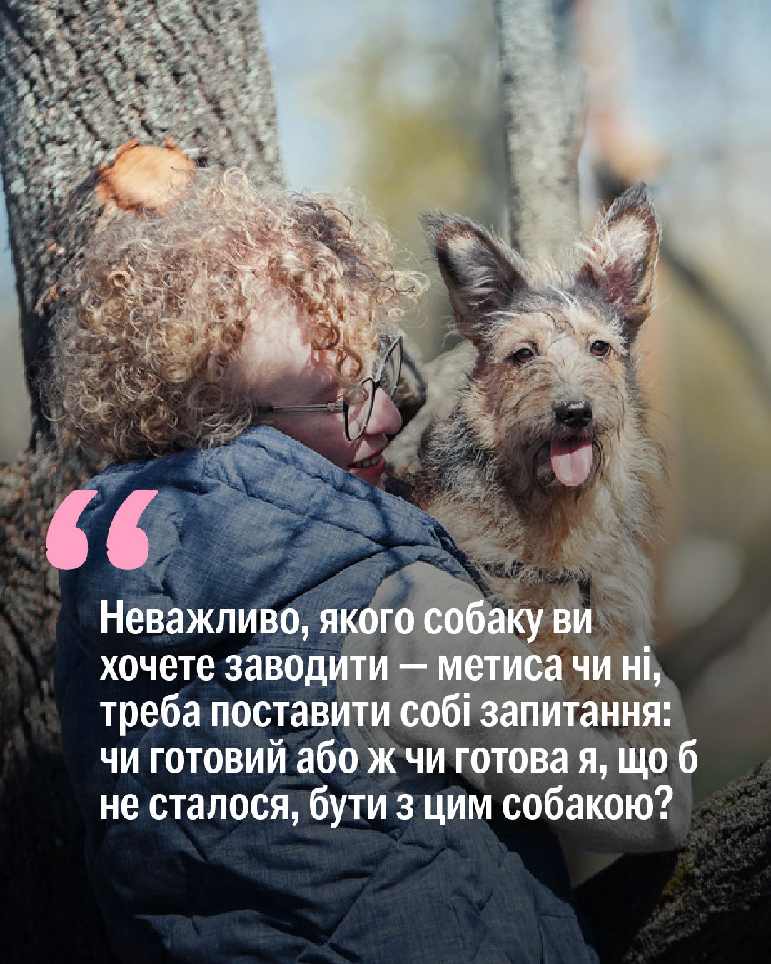Обрати породну чи безпородну тварину?