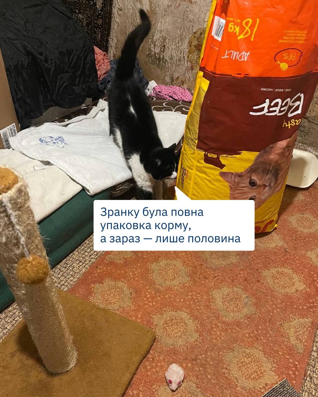 Корм у притулках зникає швидко. Але добре, що є Josera! 🫶