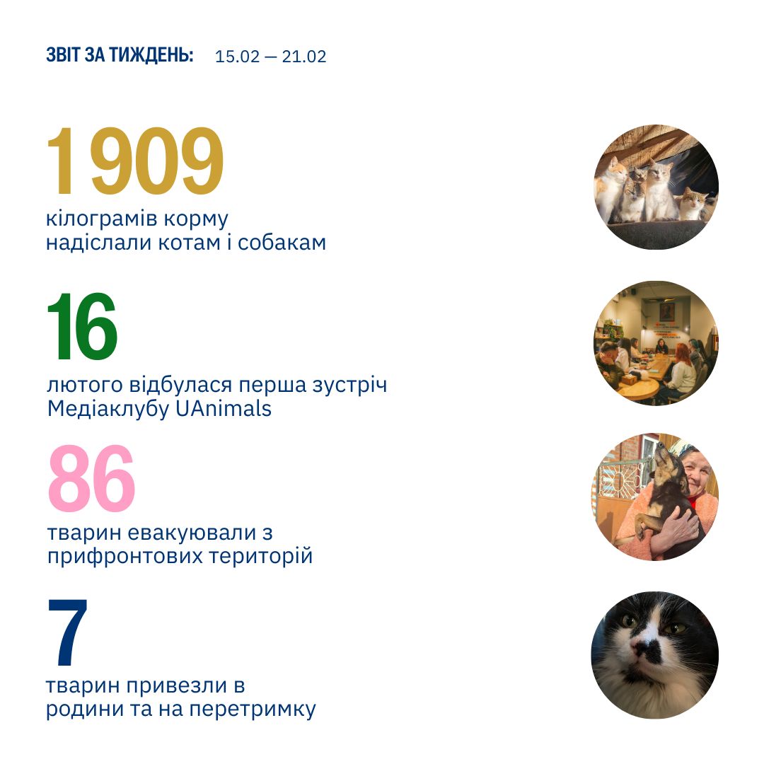 Курс UAnimals — гуманність, захист і порятунок 💙💛