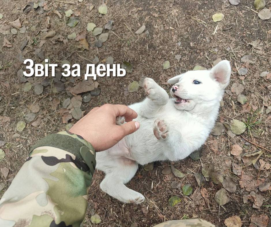 📌1096 день повномасштабного вторгнення
