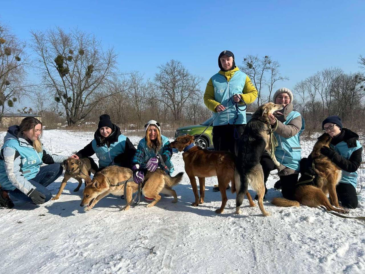 Провели два зимових вигули для майже двухсот собак із притулків! 🐕❄️