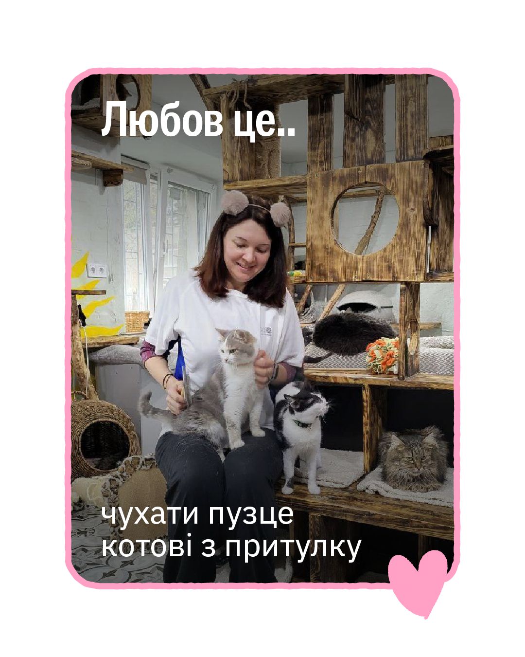 💫 UAnimals запрошує долучитися до вичухування тварин у притулках