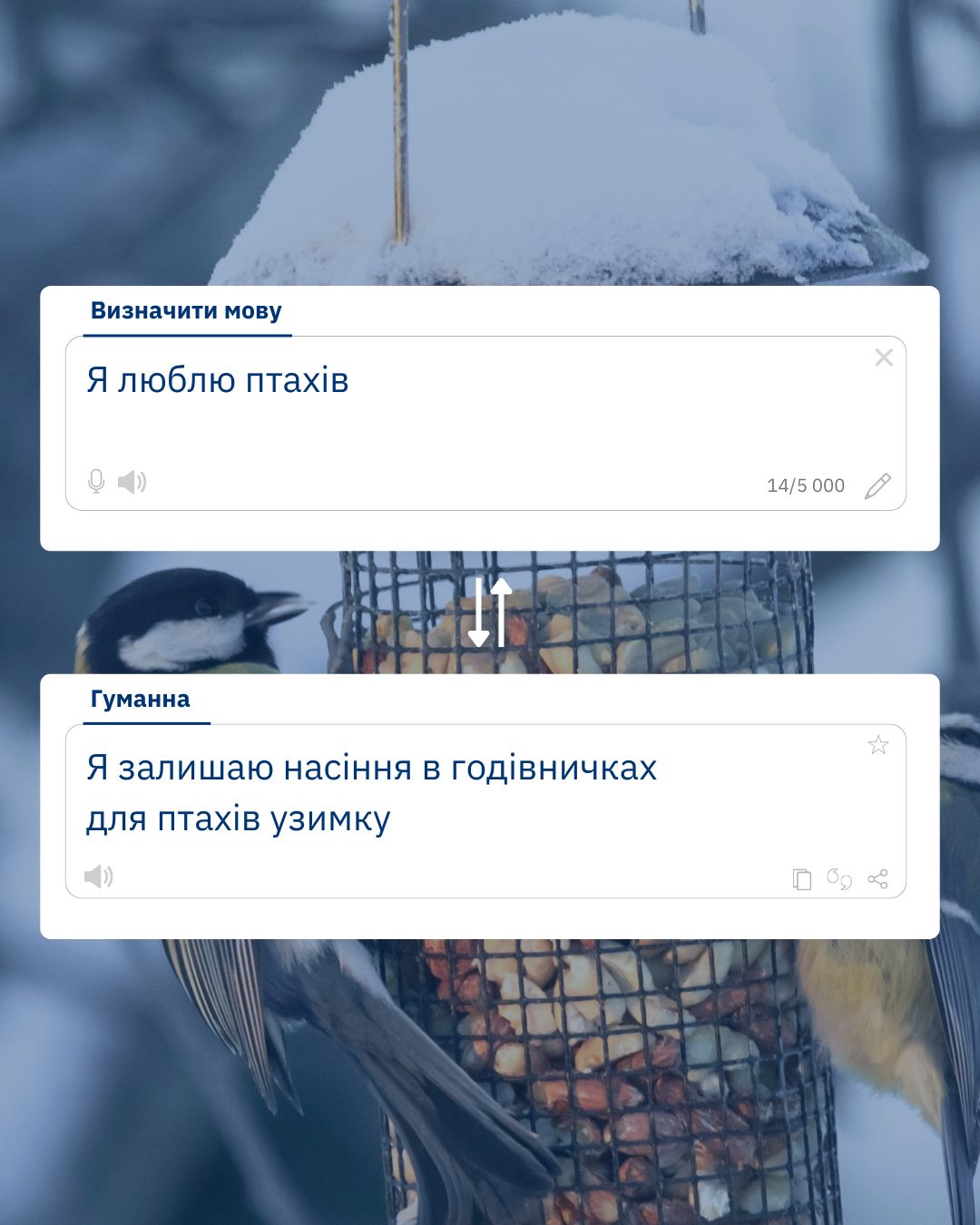 Допоможіть птахам дожити до весни 😨