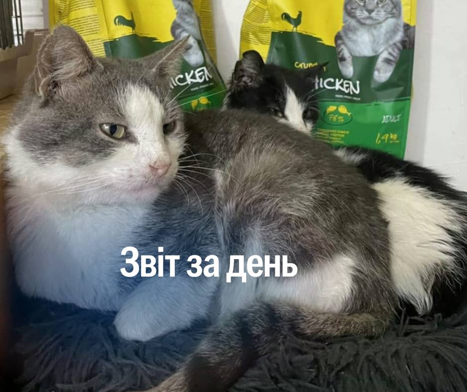📌1 099 день повномасштабного вторгнення