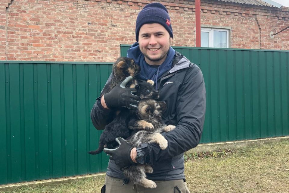 UAnimals збирають заявки на Всеукраїнську зоозахисну премію 2025