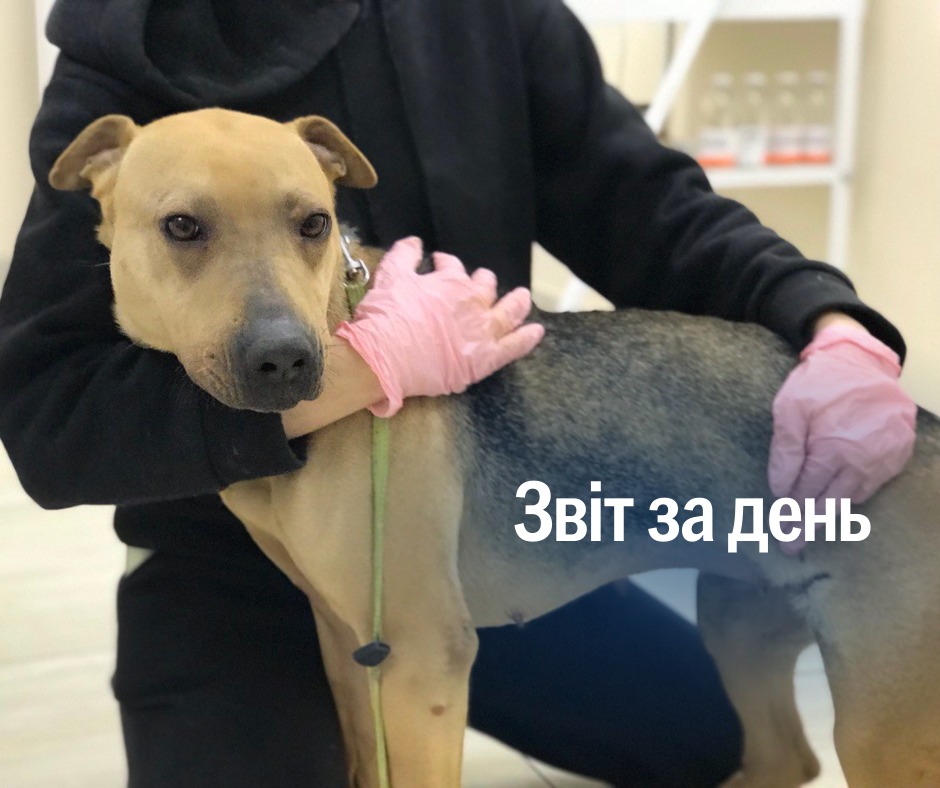 📌 1 106 день повномасштабного вторгнення
